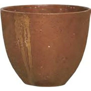 �O���[���|�b�g/�G�C�W���O �R�j�b�N ���X�e�B�[ 20cm/AN-AC2021RU�y08�z �K�[�f�j���O�E���|�p�i �A�ؔ��E�t�����[�|�b�g �Z�����g�� �� �O�b�Y ���� �ƒ�؉� �ϗt�A�� ������� ���킢�� �� ��