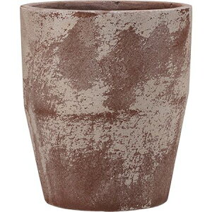 O[|bg/XN[ g[ AeB[Nbh 21cm/EB-ST2124ARy07z[4] K[fjOE|pi AؔEt[|bg Zg