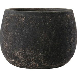 yΖӃZ[zAؔ  O[|bg/tbg o[ AeB[NubN 23cm/EB-FB2318ABy07z K[fjOE|pi t[|bg eRb^(fĂ)