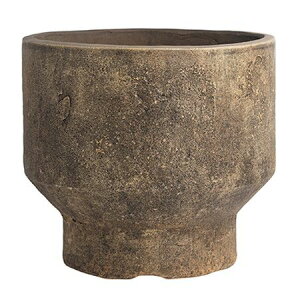 O[|bg/nEY Eh AeB[NAo[ 25cm/EB-HZ0325NVy07z[4] K[fjOE|pi AؔEt[|bg eRb^(fĂ)