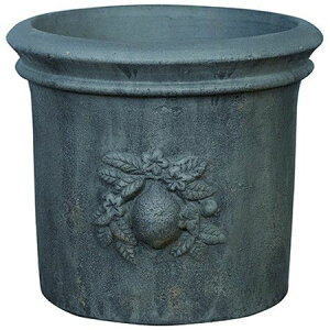 Aؔ  O[|bg/[l Eh AeB[NO[ 35cm/EB-RR3530GYy08z K[fjOE|pi t[|bg eRb^(fĂ)