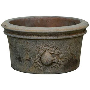 Aؔ O[|bg/[l V[ AeBR 34cm/EB-RS3418GIy08z K[fjOE|pi t[|bg eRb^(fĂ)