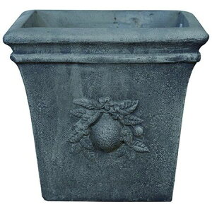 O[|bg/[l XNGA[ AeB[NO[ 30cm/EB-RS3027GYy08z K[fjOE|pi AؔEt[|bg eRb^(fĂ)