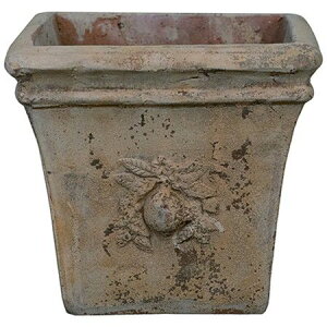 Aؔ  O[|bg/[l XNGA[ AeBR 35cm/EB-RS3532GIy08z K[fjOE|pi t[|bg eRb^(fĂ)