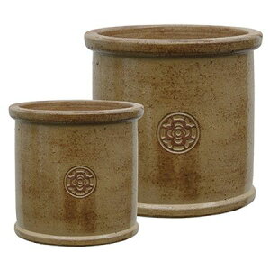 Aؔ O[|bg/OX V_[ CG[ 29/22cm/VN-0329YEy08z K[fjOE|pi t[|bg EZ~bN