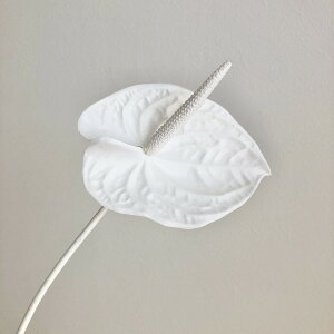 yԁzAXJ/AXE sAzCg/A-35045-1Ay01z ԁiA[eBtBVt[j  ԍށusv AX[