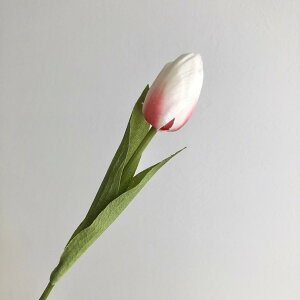 yԁzAXJ/~j`[bv zCgbh/A-35051-1Ry01z ԁiA[eBtBVt[j  ԍށusv `[bv