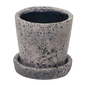 Aؔ  cY/p`B|bgO[WS/1535y07z K[fjOE|pi t[|bg eRb^(fĂ)