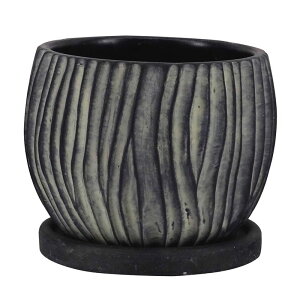 GC`c[I[/WI|bg {[S _[N/HH31735y01z K[fjOE|pi AؔEt[|bg Zg