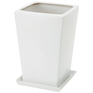 Aؔ  GC`c[I[/픫S 󂯎Mt/H2817y01z[20] K[fjOE|pi t[|bg EZ~bN