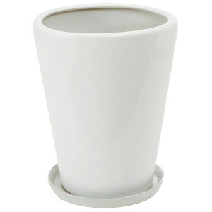 Aؔ  GC`c[I[/픫S 󂯎Mt/H2815y01z[20] K[fjOE|pi t[|bg EZ~bN