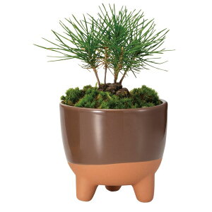 Aؔ  GC`c[I[/i|bgL uE/HH8139y01z[2] K[fjOE|pi t[|bg EZ~bN