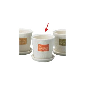 Aؔ  GC`c[I[/JWA|bgS IW/H877y01z[4] K[fjOE|pi t[|bg EZ~bN