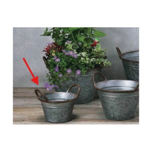 Aؔ  GC`c[I[/AeB[NT[NM/HT6518y01z[6] K[fjOE|pi t[|bg ACAEuL