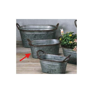 Aؔ  GC`c[I[/AeB[NI[oM/HT6513y01z[6] K[fjOE|pi t[|bg ACAEuL