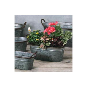 Aؔ  GC`c[I[/AeB[NI[oL/HT6512y01z[4] K[fjOE|pi t[|bg ACAEuL