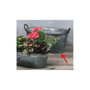 GC`c[I[/AeB[NI[oLL/HT6511y01z[4] K[fjOE|pi AؔEt[|bg ACAEuL