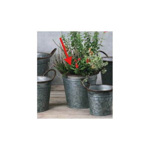 Aؔ  GC`c[I[/AeB[NoXPbgL/HT6504y01z[6] K[fjOE|pi t[|bg ACAEuL