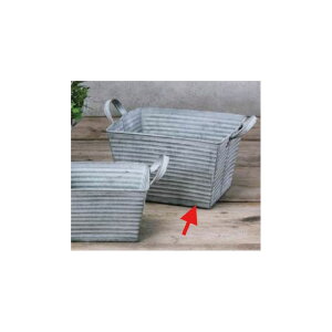 Aؔ  GC`c[I[/tFXg|bg XNGAL/HT6528y01z[6] K[fjOE|pi t[|bg ACAEuL