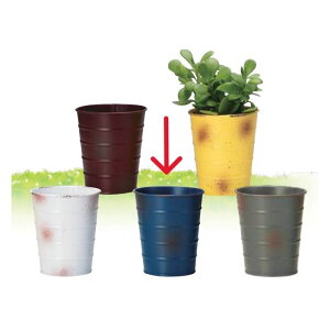 GC`c[I[/ubN|bgM u[/H80388y01z[6] K[fjOE|pi AؔEt[|bg ACAEuL