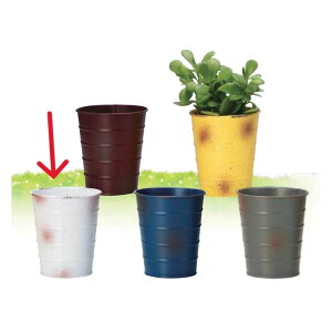 Aؔ  GC`c[I[/ubN|bgM zCg/H80371y01z[6] K[fjOE|pi t[|bg ACAEuL