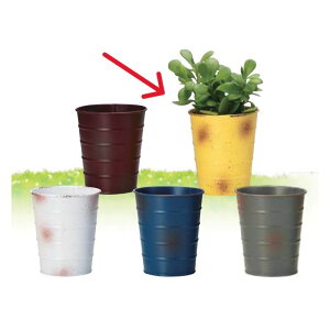 Aؔ  GC`c[I[/ubN|bgM CG[/H80364y01z[6] K[fjOE|pi t[|bg ACAEuL