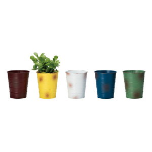 Aؔ  GC`c[I[/ubN|bgM bh/H80357y01z[6] K[fjOE|pi t[|bg ACAEuL