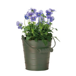 Aؔ  GC`c[I[/ubN|bgtS O[/H80449y01z[6] K[fjOE|pi t[|bg ACAEuL