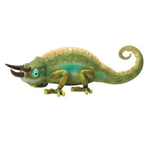 GC`c[I[/JI/HH8172y01z K[fjOE|pi K[fjOG݁EI[ig uEI[ig