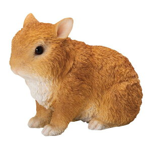 GC`c[I[/u[L/HH31813y01z K[fjOE|pi K[fjOG݁EI[ig uEI[ig