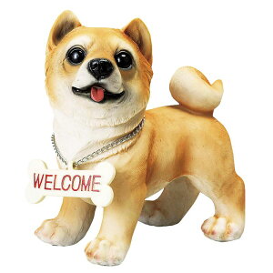 GC`c[I[/EFJhbNM@Č/HH31707y01z[2] K[fjOE|pi K[fjOG݁EI[ig uEI[ig