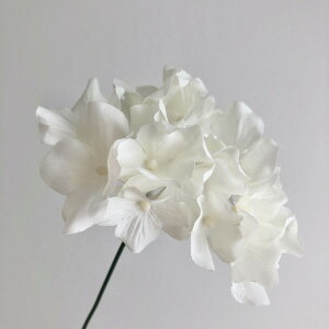 yԁzMAGIQ/VnChWA #1 CREAM N[/FM005120-001y01z ԁiA[eBtBVt[j  ԍށusv izԁj