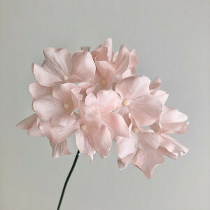 yԁzMAGIQ/VnChWA #2 PINK sN/FM005120-002y01z ԁiA[eBtBVt[j  ԍށusv izԁj