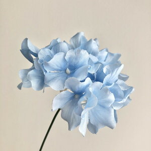 yԁzMAGIQ/VnChWA #5 BLUE u[/FM005120-005y01z ԁiA[eBtBVt[j  ԍށusv izԁj