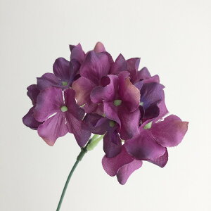 yԁzMAGIQ/VnChWA #17 PURPLE p[v/FM005120-017y01z ԁiA[eBtBVt[j  ԍށusv izԁj