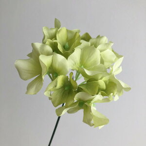 yԁzMAGIQ/VnChWA #23 LTGR CgO[/FM005120-023y01z ԁiA[eBtBVt[j  ԍށusv izԁj