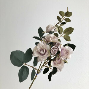 yԁzAXJ/A-39578 [YX5@ڂX2 063P@OCp|v/A-39578-063Py01z ԁiA[eBtBVt[j  ԍށu͍sv o