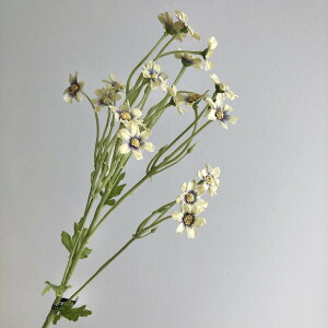 yԁzAXJ/fCW[×21 #010V CG[oCIbg/A-34390-10Vy01z ԁiA[eBtBVt[j  ԍށusv f[W[