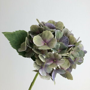 yԁzAXJ/nChWA O[p[v/A-34546-53Py01z ԁiA[eBtBVt[j  ԍށusv izԁj