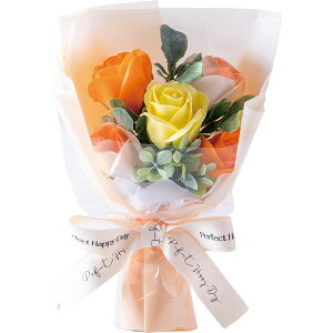 �y�\�[�v�t�����[�z�n�Y��/�~�j�t�����[�t���O�����X�\�[�v�u�[�P�i���[�Y�j �I�����W/CW-5113�y01�z �v���U�[�u�h�t�����[ �t���O�����X�\�[�v�t�����[ �\�[�v�t�����[�����i�M�t�g �v���[