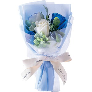 �y�\�[�v�t�����[�z�n�Y��/�~�j�t�����[�t���O�����X�\�[�v�u�[�P�i���[�Y�j �u���[/CW-5115�y01�z �v���U�[�u�h�t�����[ �t���O�����X�\�[�v�t�����[ �\�[�v�t�����[�����i�M�t�g �v���[��