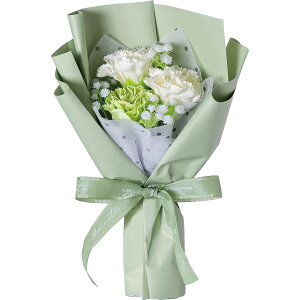 �y�\�[�v�t�����[�z�n�Y��/�~�j�t�����[�t���O�����X�\�[�v�u�[�P�i�J�[�l�j �O���[��/CW-5121�y01�z �v���U�[�u�h�t�����[ �t���O�����X�\�[�v�t�����[ �\�[�v�t�����[�����i�M�t�g �v���[