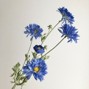 yԁzroH|/VE-4190 K[xf[W[ DK/BL/VE-4190y01z ԁiA[eBtBVt[j  ԍށusv K[x