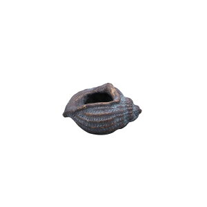 DELLKI/�j���[�X�[�}���� A-NV/DF42NV�y07�z[4��] �K�[�f�j���O�E���|�p�i �A�ؔ��E�t�����[�|�b�g �Z�����g�� �� �O�b�Y ���� �ƒ�؉� �ϗt�A�� ������� ���킢�� �� ���ǂ��̓� ������ ������ 