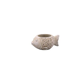 DELLKI/�j���[�|�A�\���|�b�g S-GY/DF44GY�y07�z[2��] �K�[�f�j���O�E���|�p�i �A�ؔ��E�t�����[�|�b�g �Z�����g�� �� �O�b�Y ���� �ƒ�؉� �ϗt�A�� ������� ���킢�� �� ���ǂ��̓� ������ ��