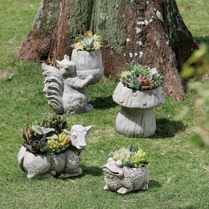 Aؔ  DELLKI/\[j|bg LmR L-GY/DF28GYy07z[2] K[fjOE|pi t[|bg Zg