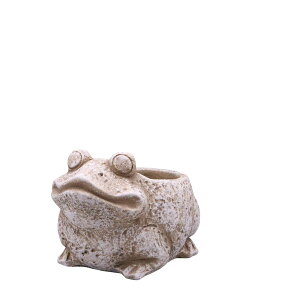 Aؔ  DELLKI/\[j|bg JG B-L-GY/DF32GYy07z[2] K[fjOE|pi t[|bg Zg