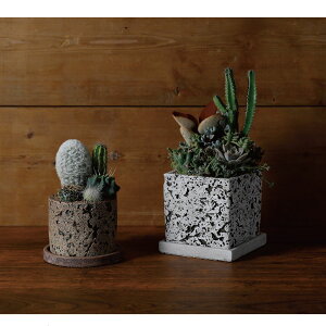 Aؔ  DELLKI/bV XNGA L-LB/HJ24LBy07z[3] K[fjOE|pi t[|bg Zg