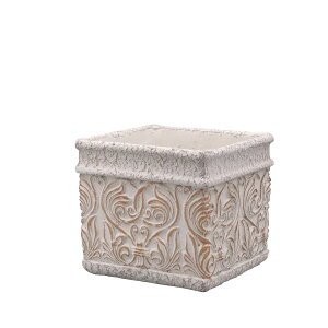 Aؔ  DELLKI/[i XNGA M-IV/WE10IVy07z[4] K[fjOE|pi t[|bg Zg