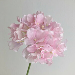 yԁzF4057 nChWAsbN 002 sN/66-792482-0y01z ԁiA[eBtBVt[j  ԍށusv izԁj